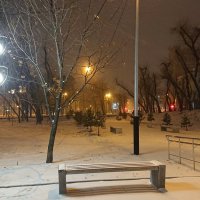 Бульвар в снегу :: Андрей Утин 