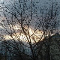 Осеннее московское небо 1 :: Татьяна Юрасова