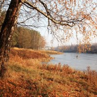 осень :: Владимир Холодницкий