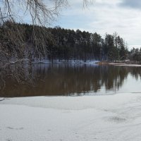 Замерзает пруд Смольный... :: Зинаида Каширина