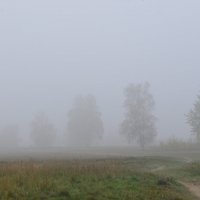 Осеннее туманное утро :: Ирина Пирогова