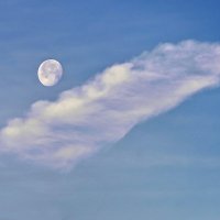 Подружилась луна с облаком :: Валерий Иванович