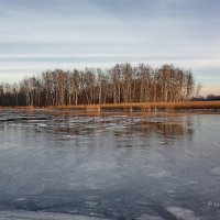 Первый ледок :: Liudmila LLF