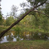 Нижний Ламский пруд :: Наталья Герасимова