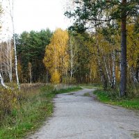 Осень на Смоленщине (из поездок по области) :: Милешкин Владимир Алексеевич 