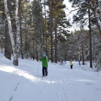 Лыжня зовёт в зимний лес... :: Андрей Хлопонин