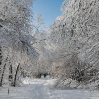 снежно :: Екатерина Агаркова