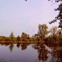 Сентябрь на реке Широкий Карамыш в Саратовской области :: Лидия Бараблина