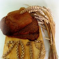 Хлеб нынешнего года. :: nadyasilyuk Вознюк