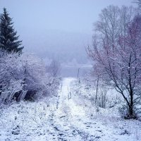 первый снег3 :: Елена Петелина