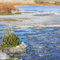 Ледяные веночки замерзающей Волги :: Ната Волга