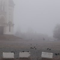 Серый туманный день :: Юрий Гайворонский