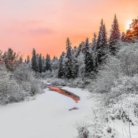 Таежная речка :: Сергей Добрыднев