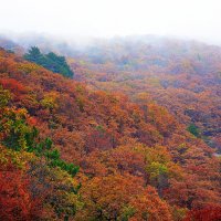 Осень в горах :: Ольга (crim41evp)