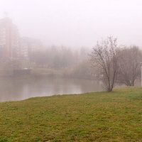Туман в парке :: Валерий Иванович