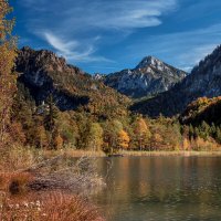 На берегу Schwanensee (Германия, Бавария) :: Bo Nik