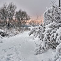На окраине после снегопада ... :: Евгений Хвальчев