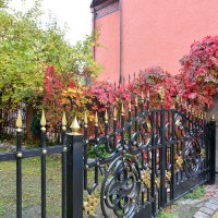 Осень, кошки и ограда :: Леонид Иванчук