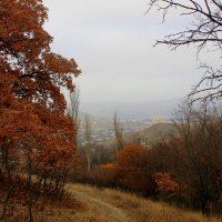 Осень на Карадаге. :: Светлана Калинина