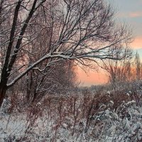 Снежный ноябрь 2010 г., в закатный час :: Николай Белавин