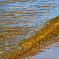 Накатывает нехотя янтарная волна на сентябрьский пляж... :: Лидия Бараблина