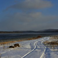 Путь по снегу :: Сергей Шаврин