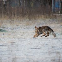 На вираже. :: Владимир Безбородов