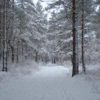 После снегопада :: Павел 