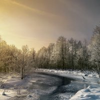 Мороз и солнце :: Нина Богданова