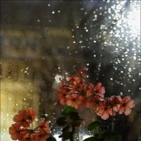 Дождь за окном :: Владимир Стаценко