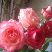 Букет из роз :: Елена Семигина