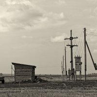 Сельская жизнь :: Дмитрий Конев