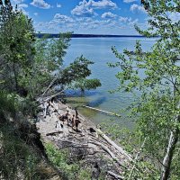 ПАЦАНЫ В СИБИРСКОМ ЛЕТЕ. Новосибирское водохранилище. В Новосибирске. :: Виталий Половинко