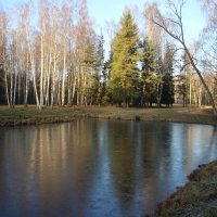 Павловский парк. Долина прудов :: Наталья Герасимова