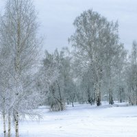 *** :: Владимир Безбородов