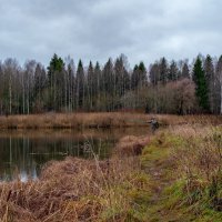 Найди рыбака! :: Дарья Меркулова