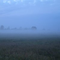 В тумане :: Антон Завьялов