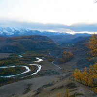 Выше деревья уже не растут. :: Валерий Медведев