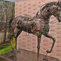 Вот  такой  стальной и стильный   конь! :: Виталий Селиванов 
