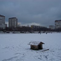 Так уже похоже на настоящую зиму :: Андрей Лукьянов