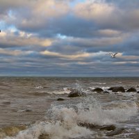 Шум моря и дыхание зимы... :: Marina Pavlova