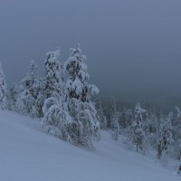 Туман в горах :: Ольга 