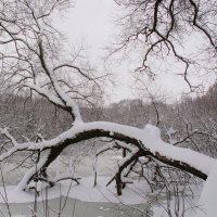 Зима :: Надежда Буранова 