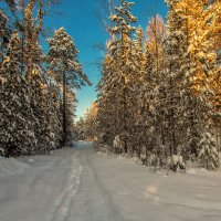 Югорская зимняя картинка :: Георгий Кулаковский