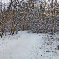 Первый ноябрьский снежок :: Raduzka (Надежда Веркина)