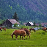 Под горой село стоит :: Сергей Чиняев 