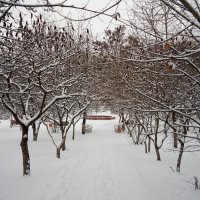 Зима во дворе :: Сергей Тимоновский