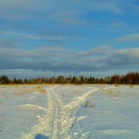 панорама :: Владимир 