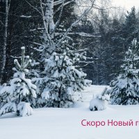 Скоро Новый год :: Галина Кан