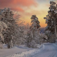 Уполокша. :: Владимир Чикота 